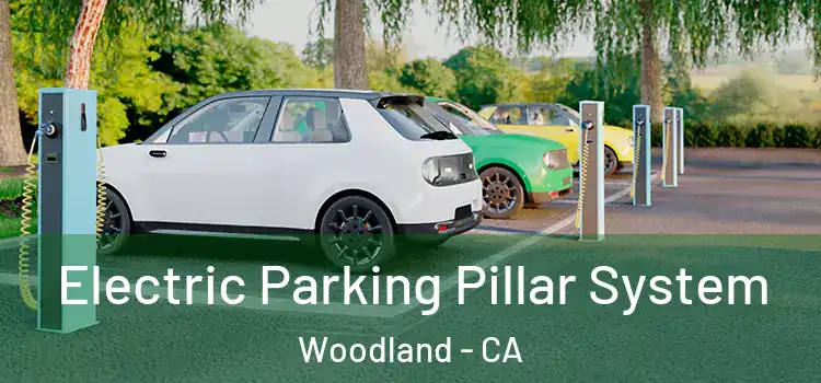Electric Parking Pillar System Woodland - CA