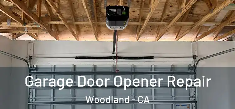  Garage Door Opener Repair Woodland - CA