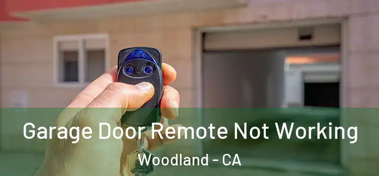 Garage Door Remote Not Working Woodland - CA